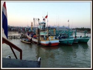 Dlitpic-AnalogyFishes