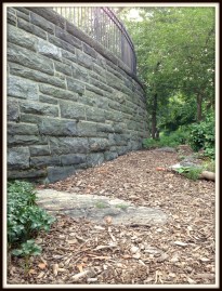 Dlitpic-Gelney Downs