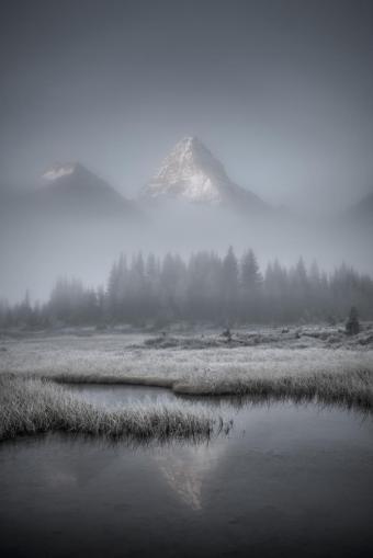 Gibbs_Adam_EndOfSeason